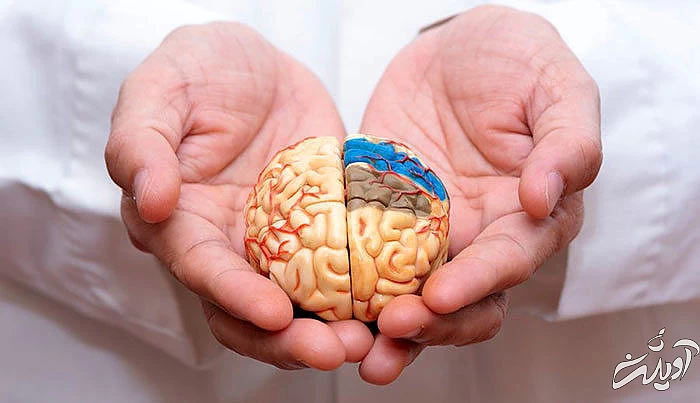 آلزایمر چیست؛ علت، علائم، پیشگیری و درمان بیماری